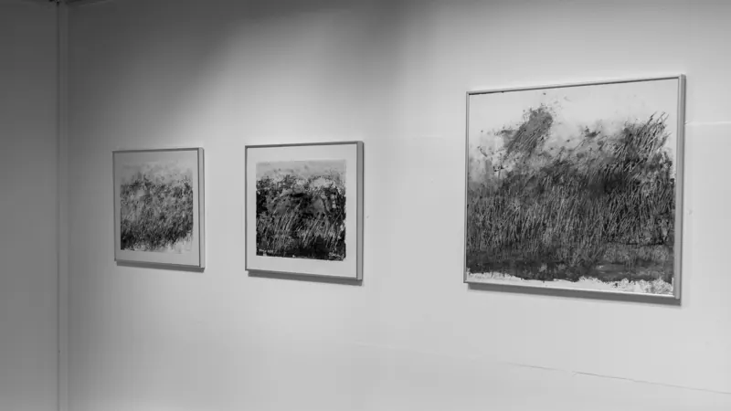 Three framed landscape prints in a row