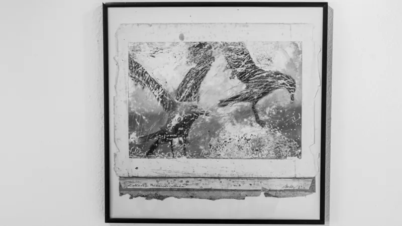 Framed print of birds over grasses
