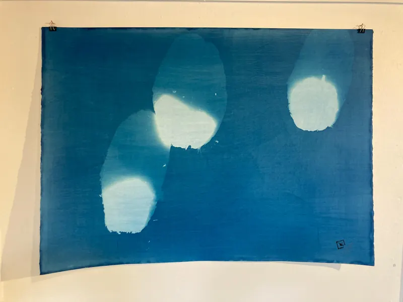 Cyanotype with pale circles on a deep blue ground