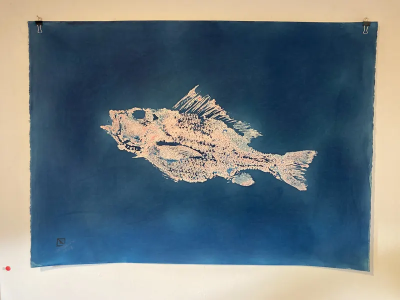 Gyotaku-style print of a fish on blue paper