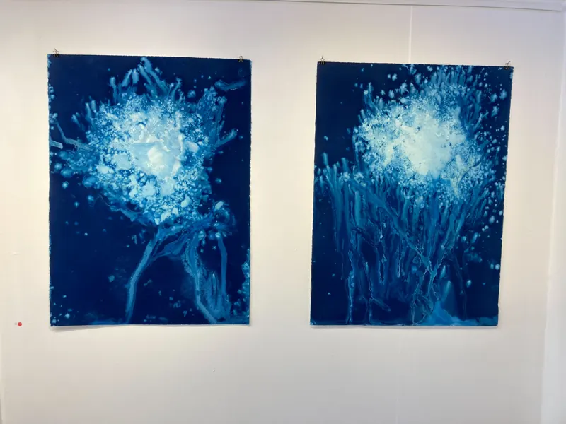 Two cyanotype photograms of plant forms