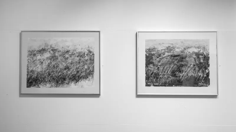 Two framed prints of dense grasses