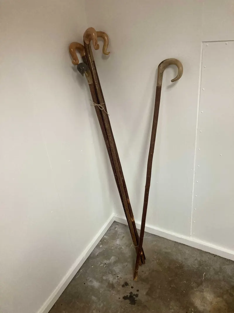 Two old walking sticks leaning in a corner